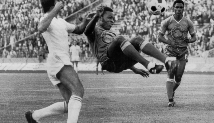 Leopards bat le maroc